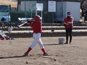 c12c5eea439a1325c6da76d9cce0f679